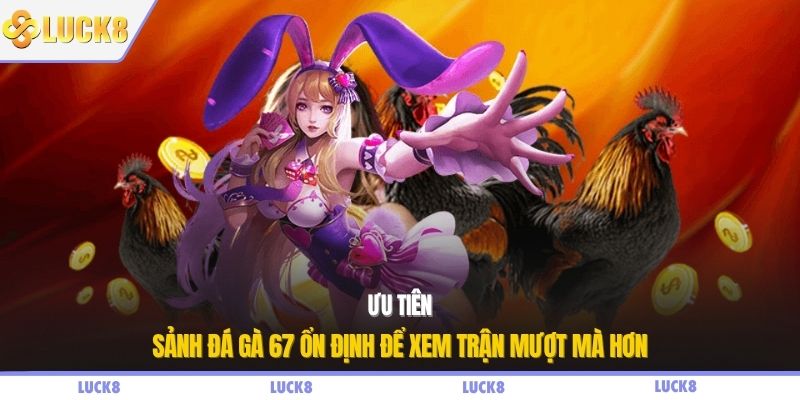 Ưu tiên sảnh đá gà 67 ổn định để xem trận mượt mà hơn